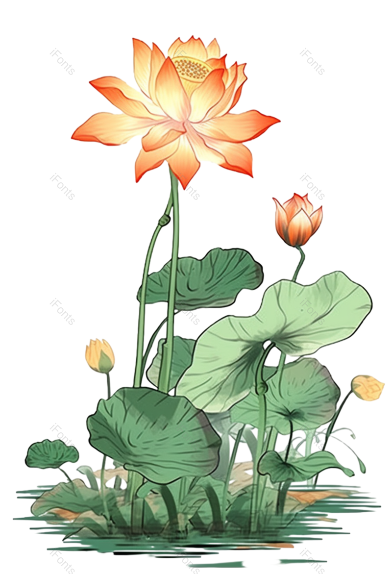 叶子图片,端午元素,节日PNG,荷花免抠素材